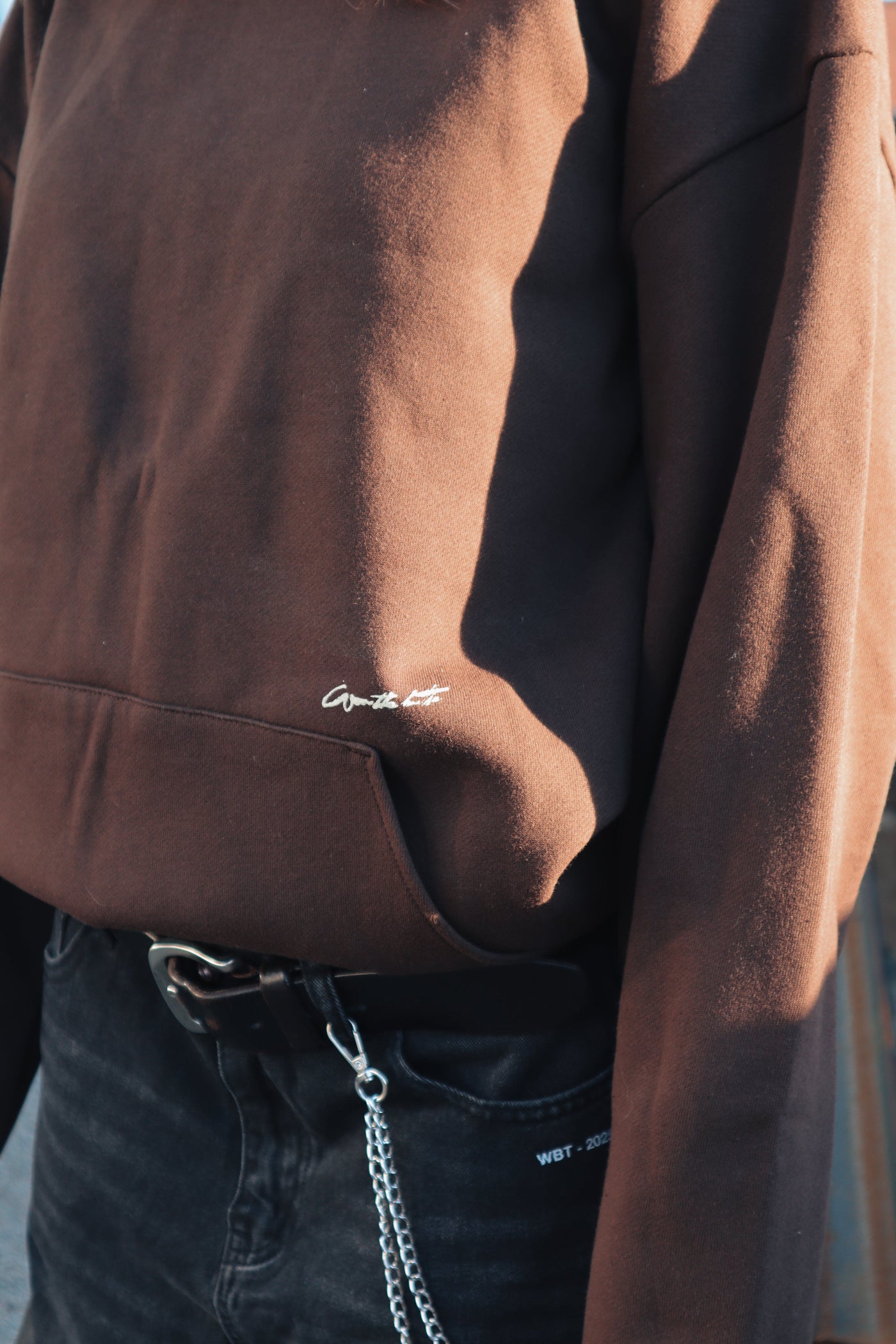 Battle Of Truth Hoodie
